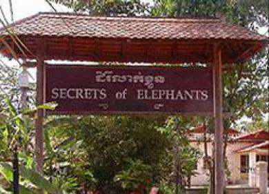 Hotel Secrets Of Elephants Siem Reap Exterior foto